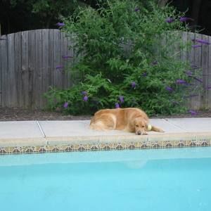 Meet your Posher, Joan